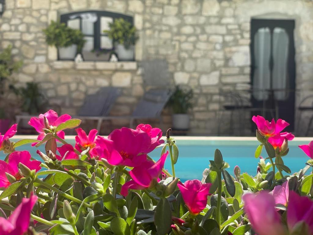 Hôtel Particulier Payan Champier Saint-Paul-Trois-Châteaux Exterior foto