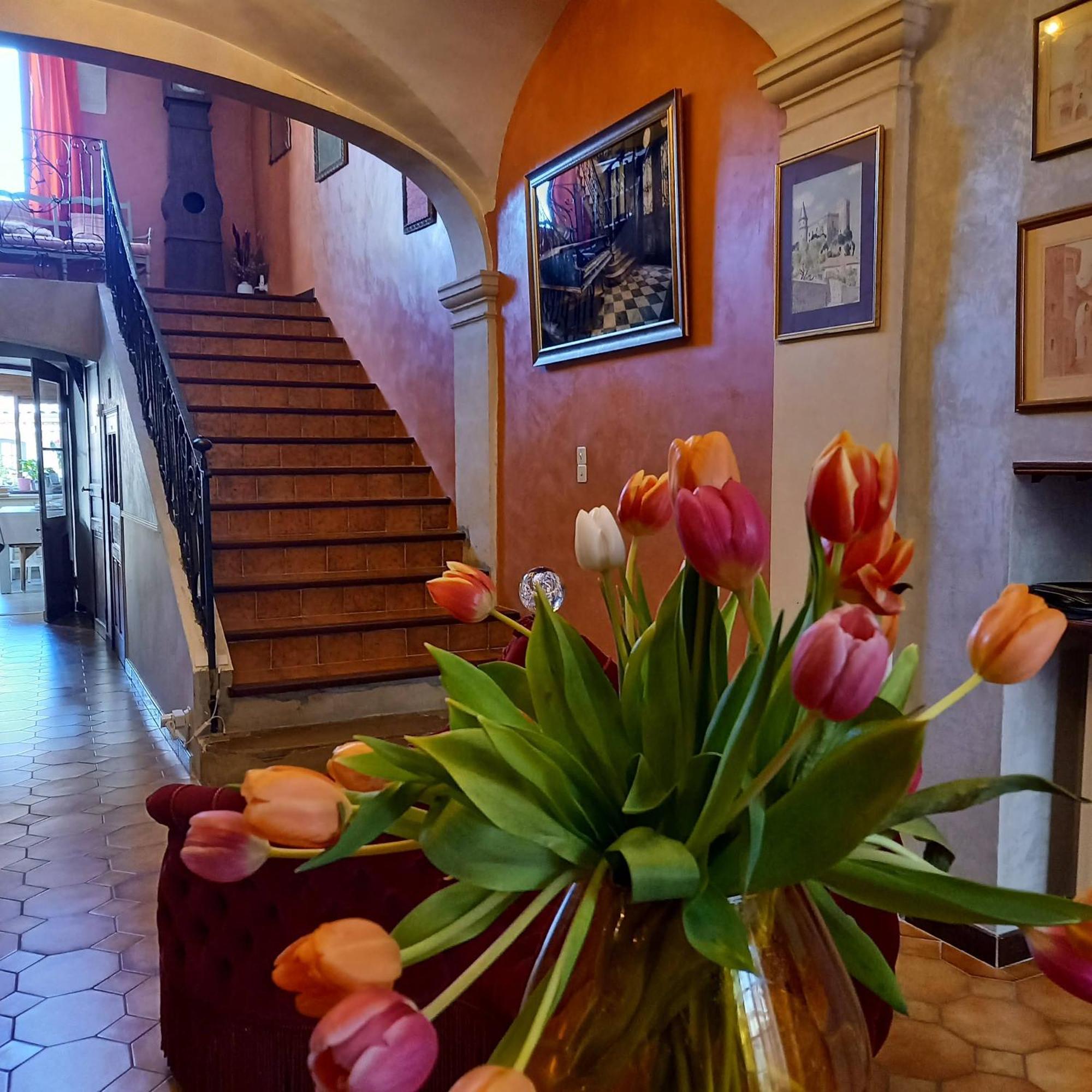 Hôtel Particulier Payan Champier Saint-Paul-Trois-Châteaux Exterior foto